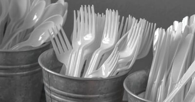 Disposable Utensils