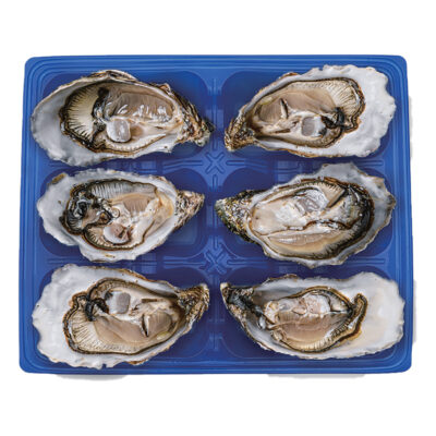 RPET oyster tray